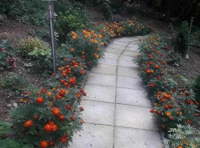 Waldhuette Am Nyaraló Klingberg